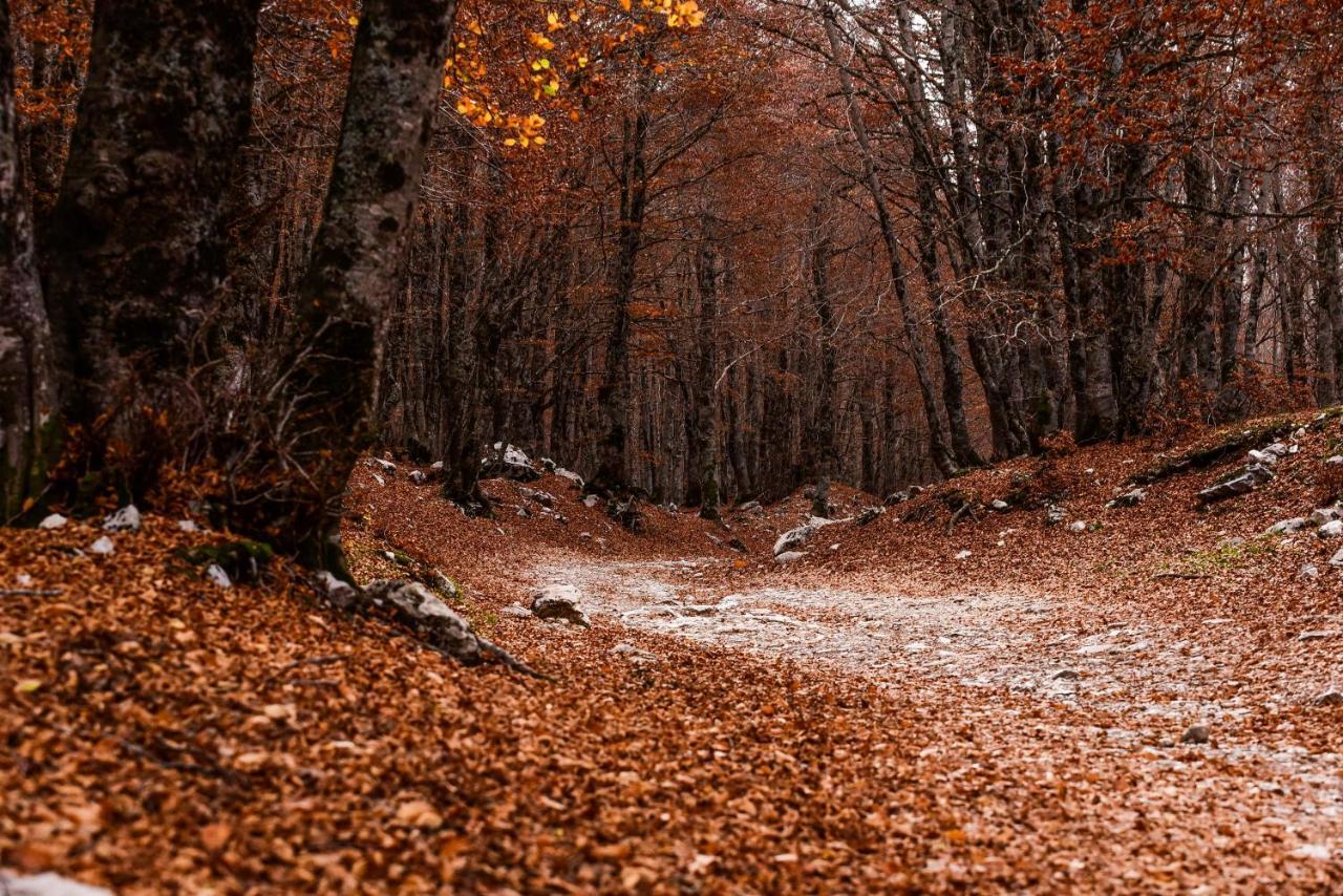 Appartamento A Campo Felice - Treeffe Collimento المظهر الخارجي الصورة