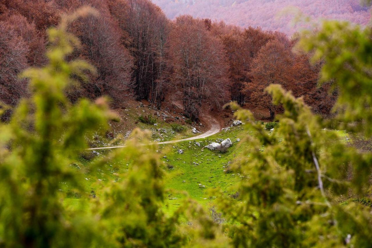 Appartamento A Campo Felice - Treeffe Collimento المظهر الخارجي الصورة